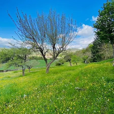 Domaine De Souchiol Coubon